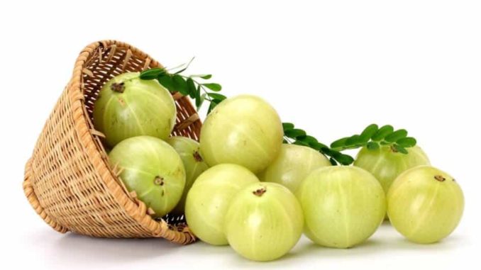 Top 10 Amazing Benefits Of Amla - The Indian Gooseberry 1